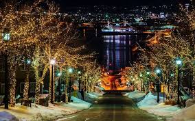 はこだて冬花火 雪景色とのコラボレーション.jpg