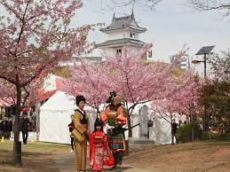 宇都宮城桜まつり 河津桜.jpg