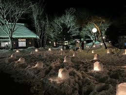 湯西川温泉 かまくら祭 平家の里ミニかまくら.jpg