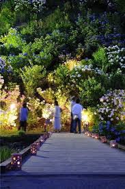 花菖蒲まつり 夜の「花菖蒲園」.jpg
