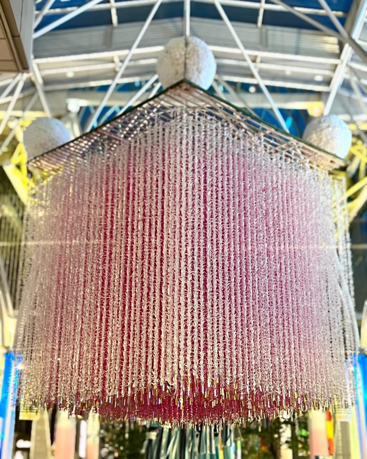 Instagram Post (Carousel Album)