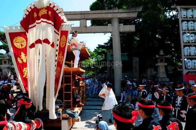 岸和田だんじり祭 宮入り